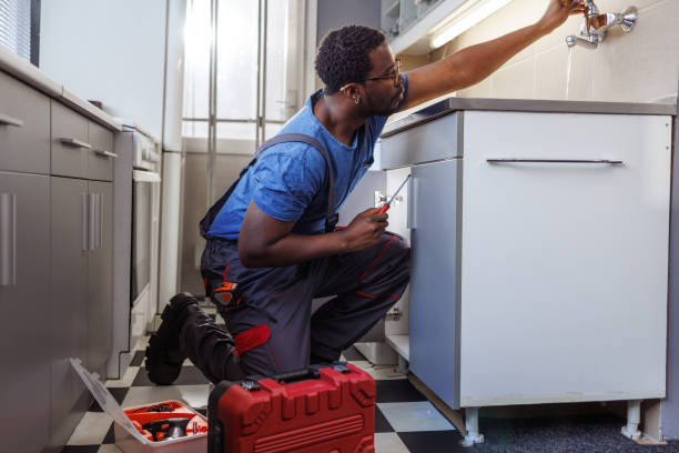 Best Same-Day Plumbing Service  in Lakeland, MN